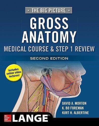 Gross Anatomy The Big Picture 2Nd Edition by  -