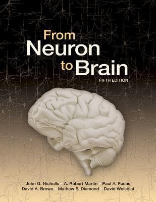 From Neuron To Brain 5th Edition by John G. Nicholls; A. Robert Martin; Paul A. Fuchs; David A. Brown; Mathew E. Diamond; David Weisblat - 0878936092