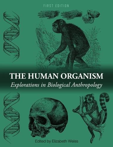 The Human Organism Explorations In Biological Anthropology by Elizabeth Weiss - 978-1631894534