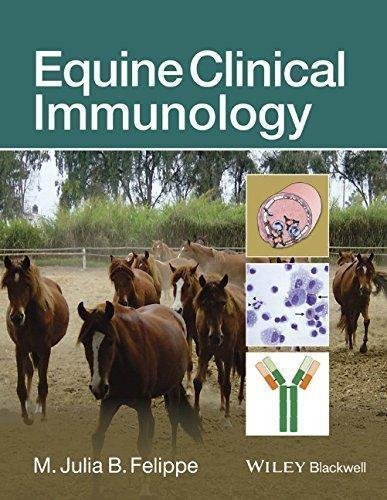 Equine Clinical Immunology by Felippe, Maria Julia B - 9781118559000