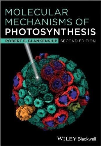 Molecular Mechanisms Of Photosynthesis by Robert E. Blankenship - 1405189754