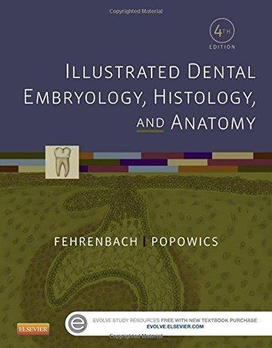 Illustrated Dental Embryology Histology And Anatomy 4Th Edition by Margaret J. Fehrenbach RDH MS, Tracy Popowics - 1455776858