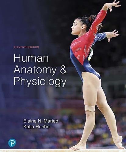 Human Anatomy And Physiology 11Th Edition by Elaine N. Marieb, Katja Hoehn  11th edition (January 15, 2018)  Language:English -