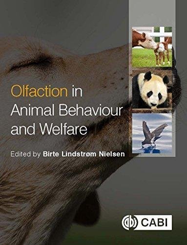 Olfaction In Animal Behaviour And Welfare by Birte Lindstrom Nielsen - 978-1-78639-159-9