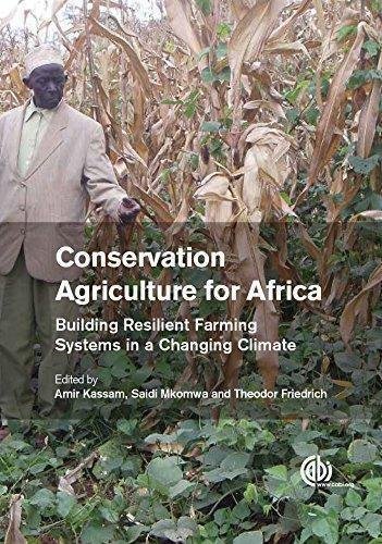 Conservation Agriculture For Africa Building Resilient Farming Systems In A Changing Climate by Friedrich, Theodor; Kassam, Amir H.; Mkomwa, Saidi - 1780645686