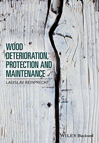 Wood Deterioration Protection And Maintenance by Ladislav Reinprecht - 1119106532
