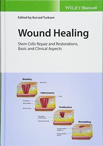 Wound Healing Stem Cells Repair And Restorations Basic And Clinical Aspects by Kursad Turksen - 9781119282488