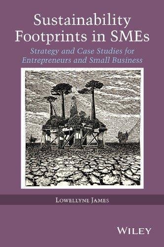 Sustainability Footprints In Smes Strategy And Case Studies For Entrepreneurs And Small Business by Lowellyne James - 1118779436