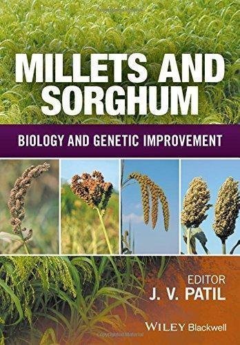 Millets And Sorghum Biology And Genetic Improvement by Jagannath V. Patil - 1119123054